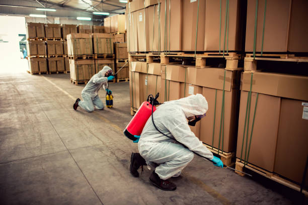 Bolingbrook, IL Pest Control Company
