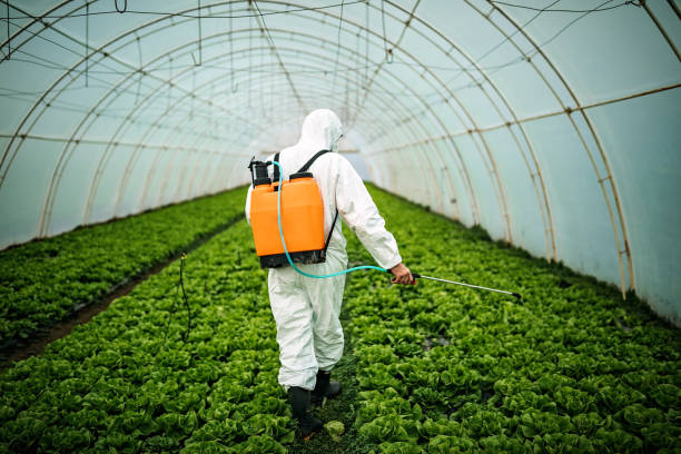 Best Wildlife Control Services  in Bolingbrook, IL