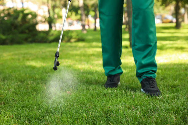 Pest Control Cost in Bolingbrook, IL