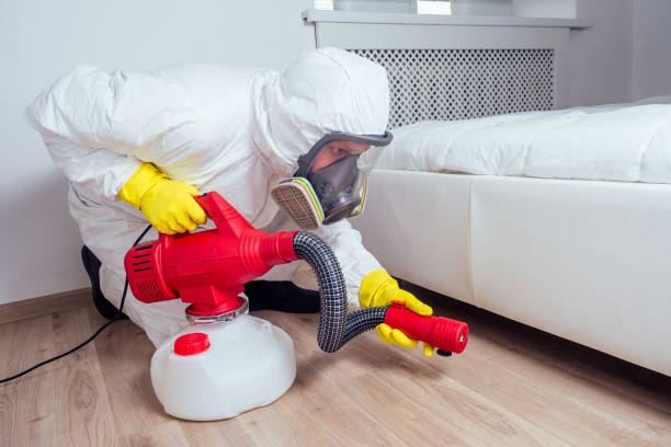 Trusted Bolingbrook, IL Pest Control Experts