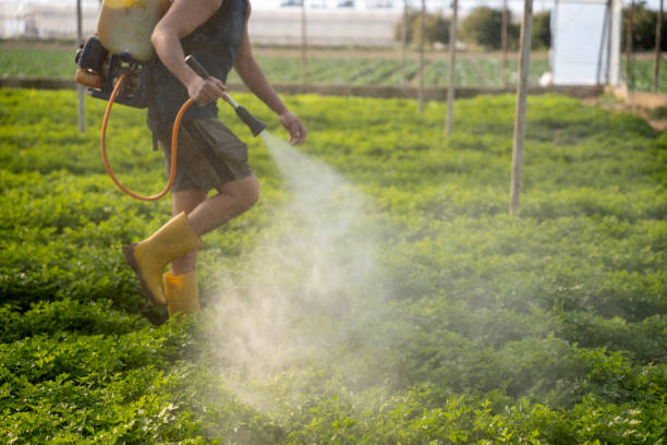 Best Pest Inspection Near Me  in Bolingbrook, IL
