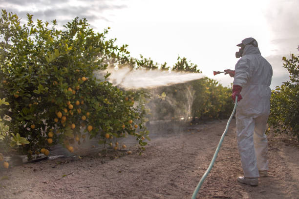Best Pest Control for Businesses  in Bolingbrook, IL