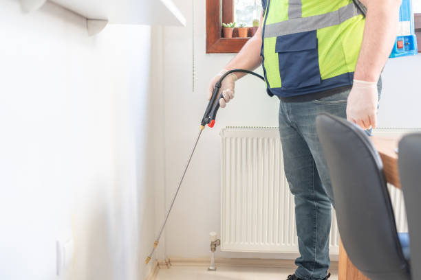 Best Emergency Pest Control  in Bolingbrook, IL