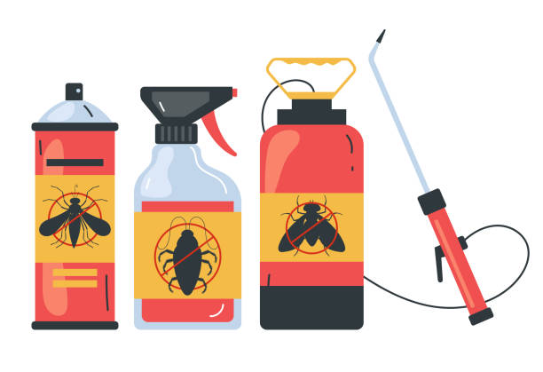 Wasp Removal Services in Bolingbrook, IL