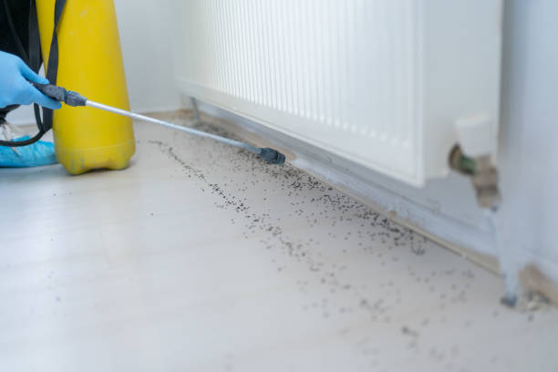 Best Pest Inspection Near Me  in Bolingbrook, IL